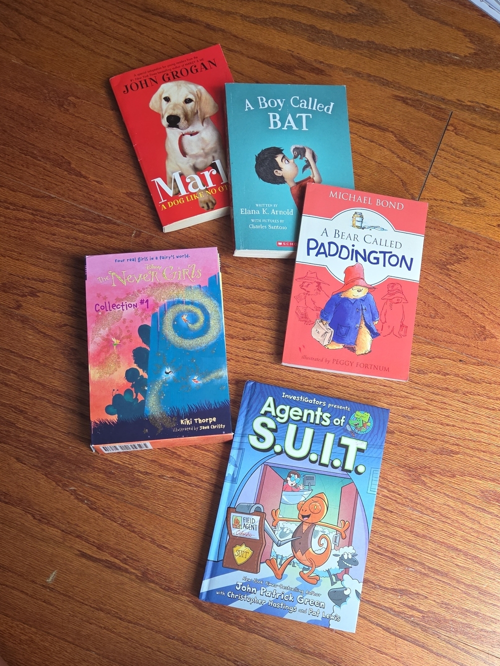 Children's Book Lot — Bright Mixed Colors